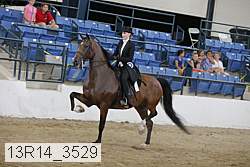13r14_3529 proof