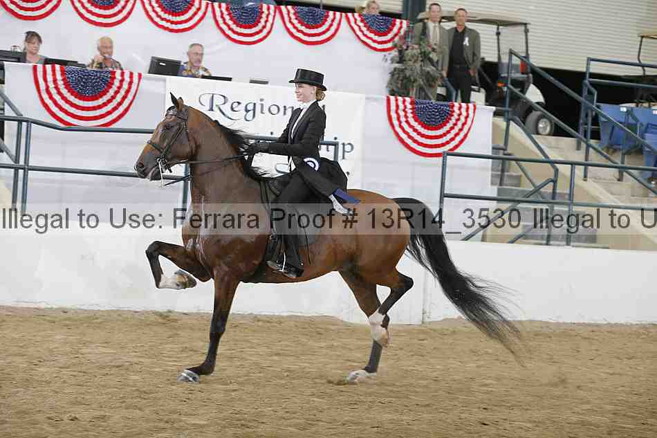 Proof 13r14_3530