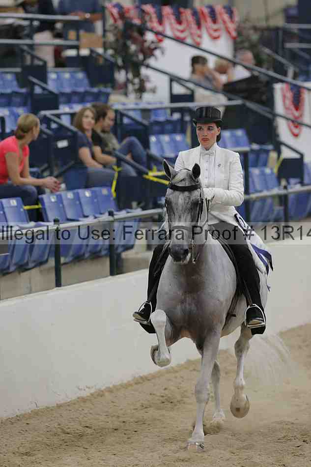 Proof 13r14_3531
