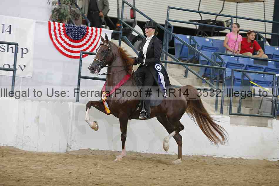 Proof 13r14_3532