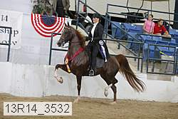 13r14_3532 proof