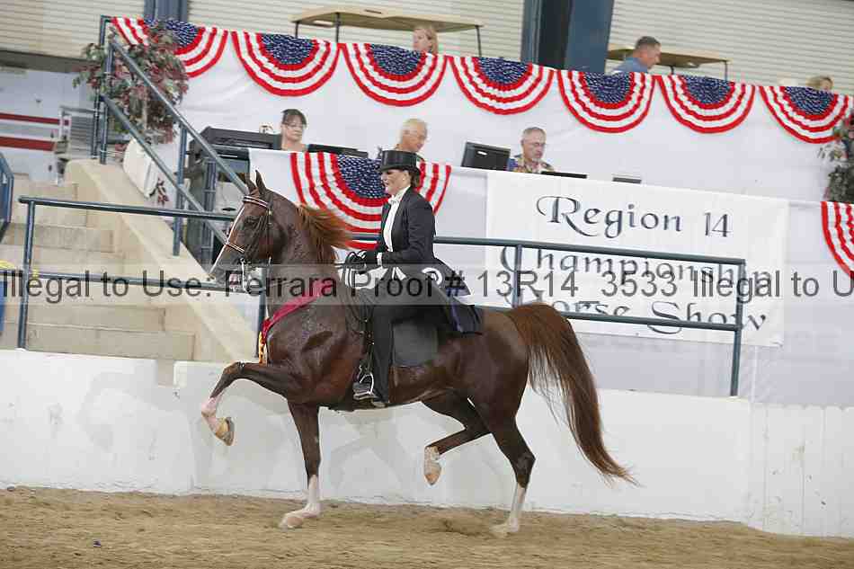 Proof 13r14_3533