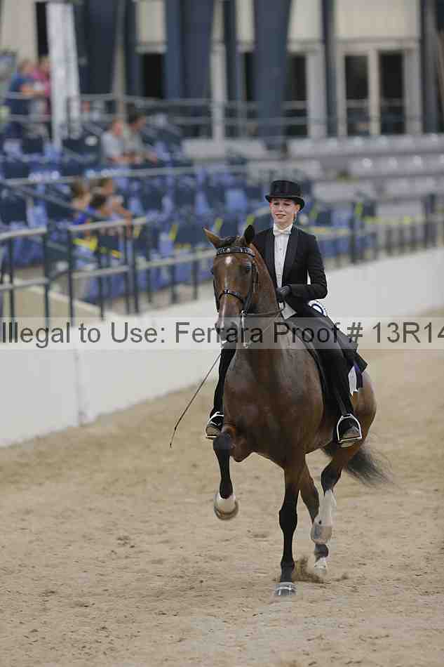 Proof 13r14_3534