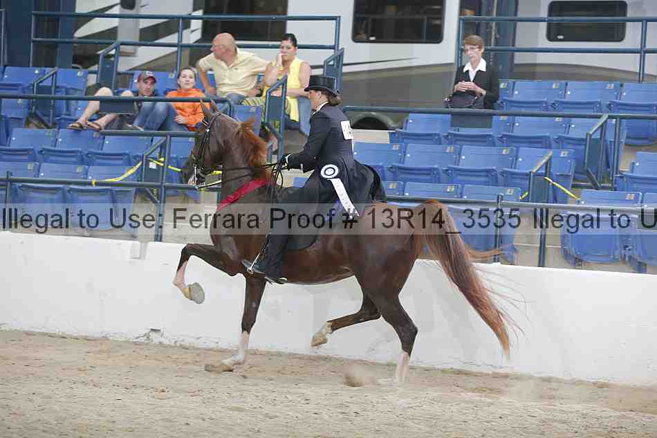 Proof 13r14_3535