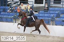 13r14_3535 proof