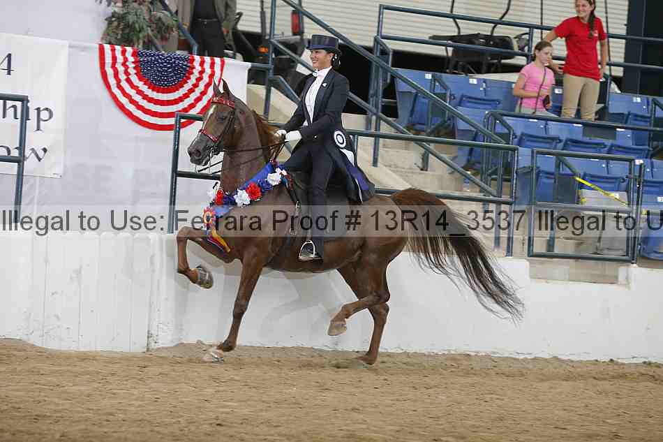 Proof 13r14_3537
