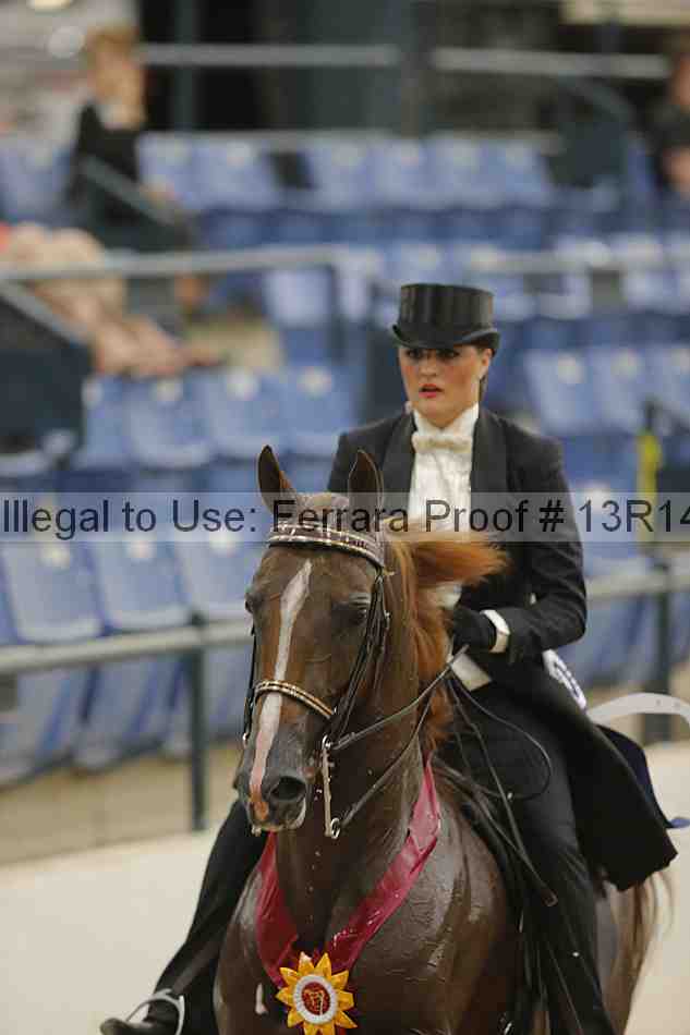 Proof 13r14_3538