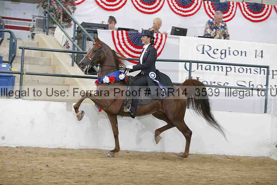 Proof 13r14_3539