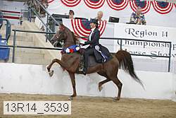 13r14_3539 proof