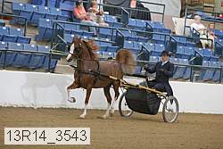 13r14_3543 proof
