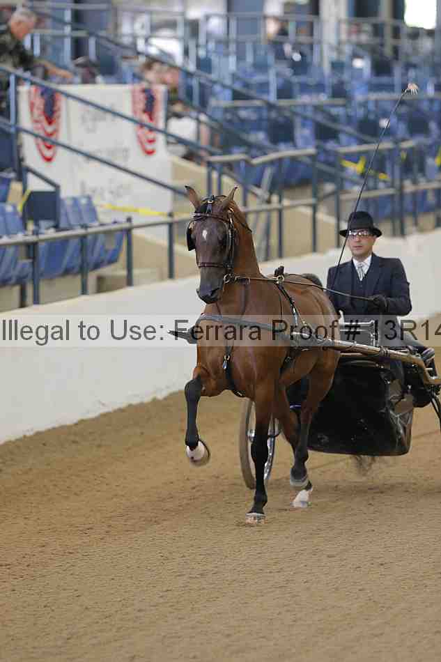 Proof 13r14_3544