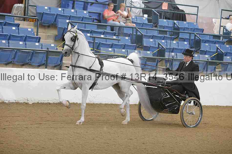 Proof 13r14_3546