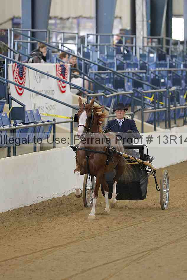 Proof 13r14_3548
