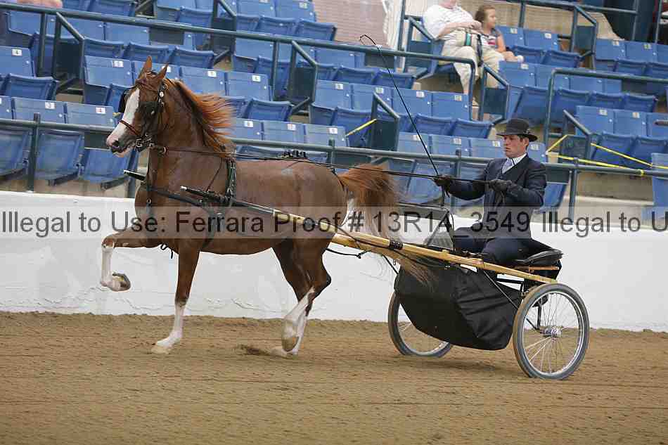 Proof 13r14_3549