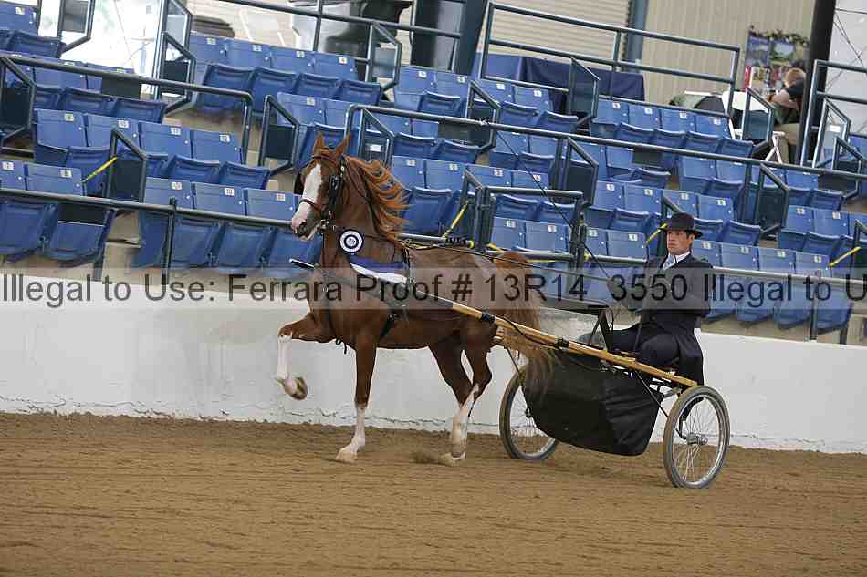 Proof 13r14_3550