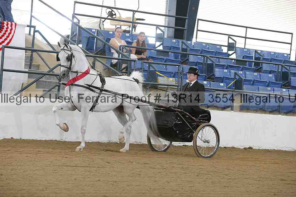 Proof 13r14_3554