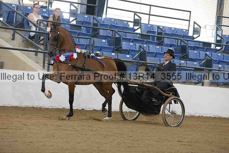Proof 13r14_3555