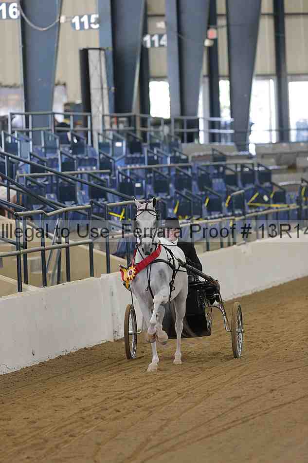 Proof 13r14_3556