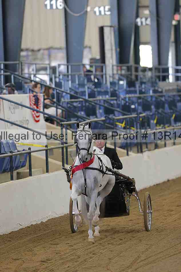 Proof 13r14_3558