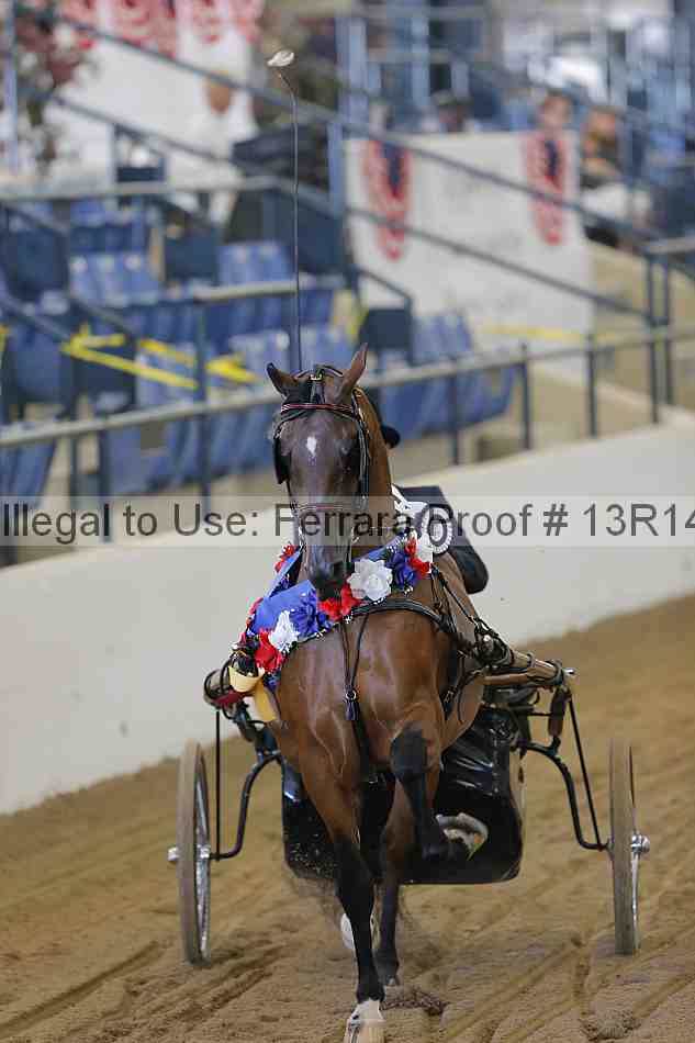 Proof 13r14_3559