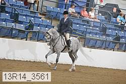 13r14_3561 proof