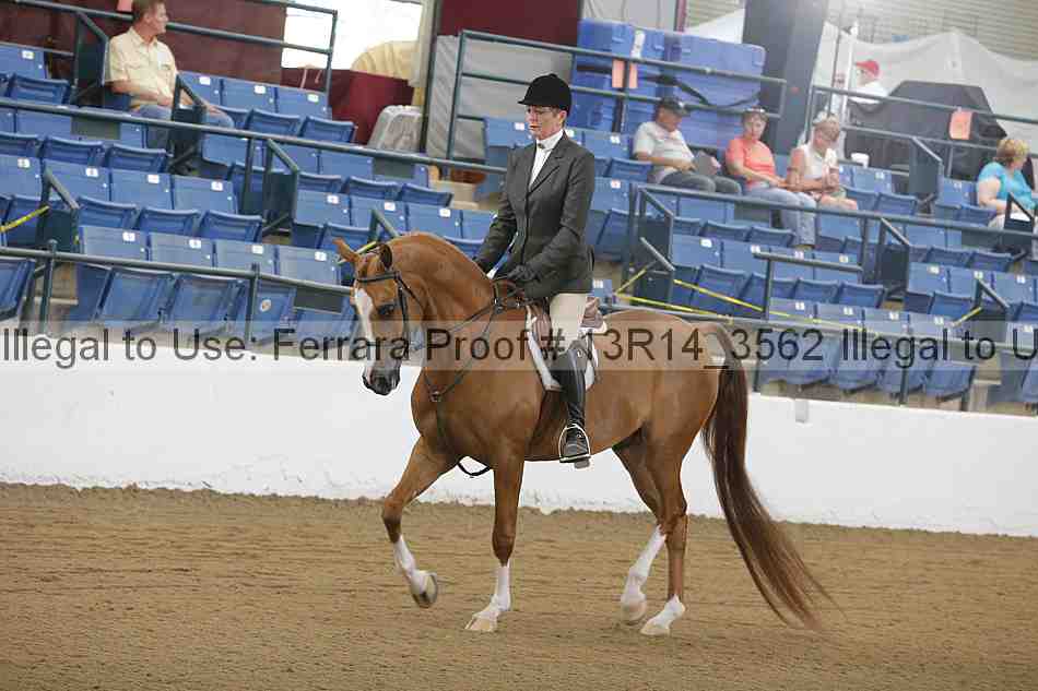 Proof 13r14_3562
