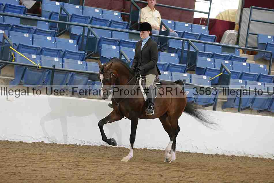 Proof 13r14_3563