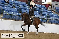 13r14_3563 proof