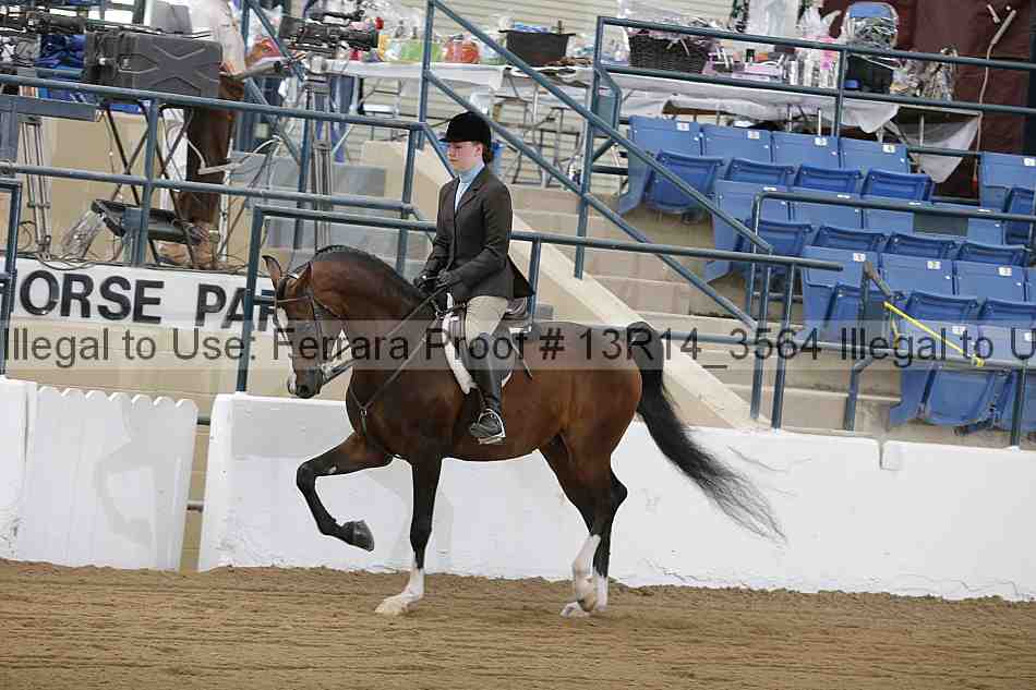 Proof 13r14_3564