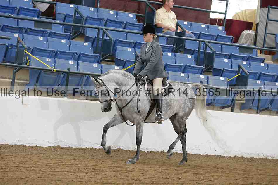 Proof 13r14_3565