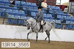 13r14_3565 proof
