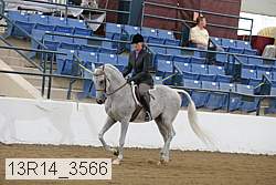 13r14_3566 proof