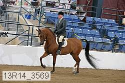 13r14_3569 proof