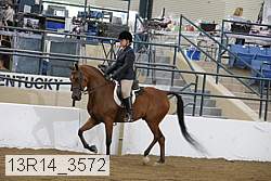 13r14_3572 proof