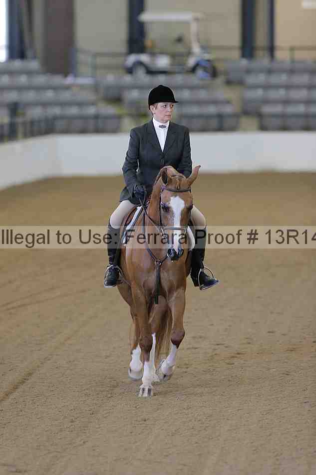 Proof 13r14_3573