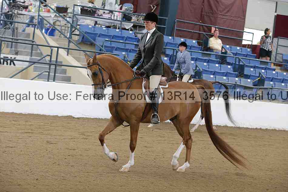 Proof 13r14_3576