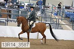 13r14_3587 proof