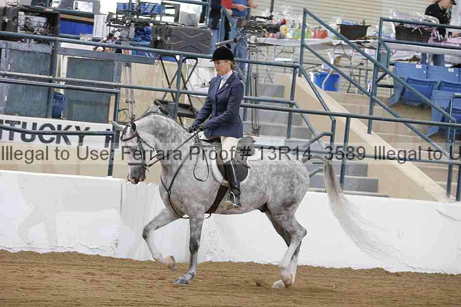 Proof 13r14_3589