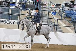 13r14_3589 proof