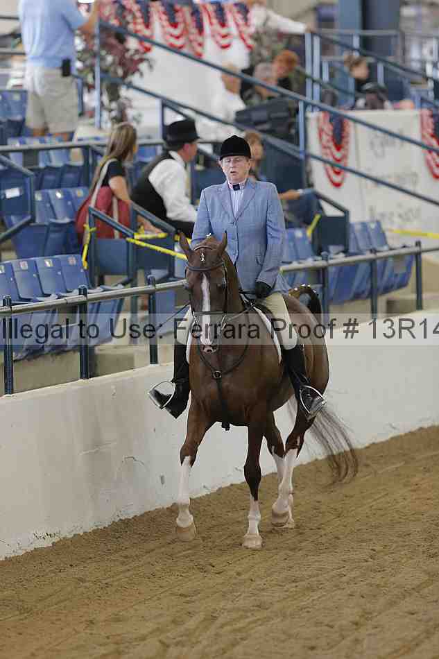 Proof 13r14_3595