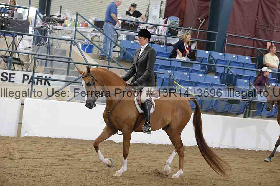 Proof 13r14_3596