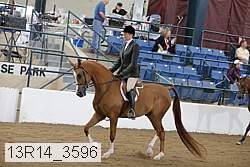 13r14_3596 proof