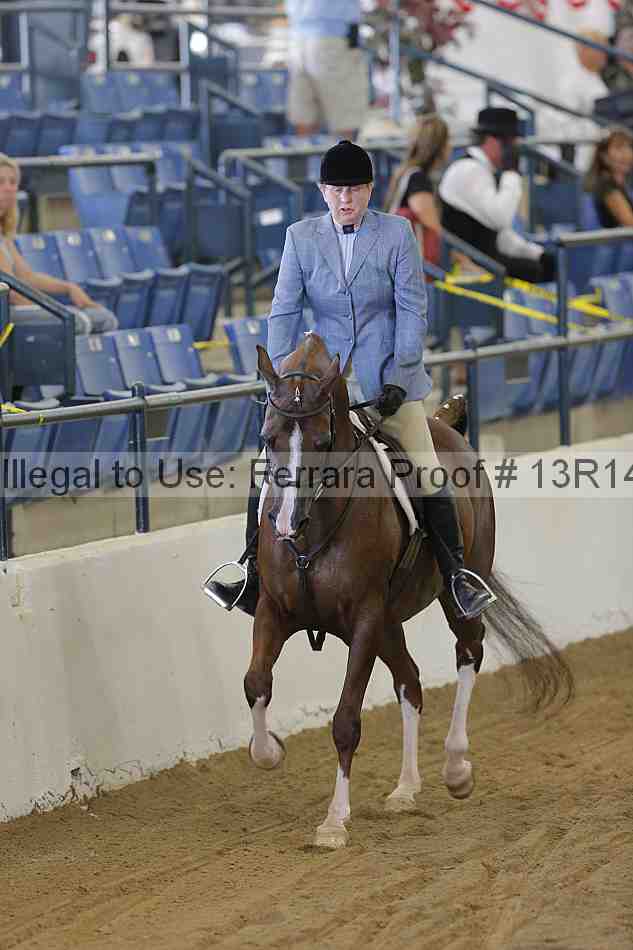 Proof 13r14_3597