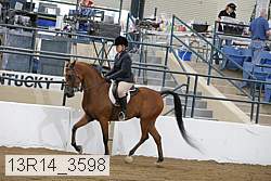 13r14_3598 proof