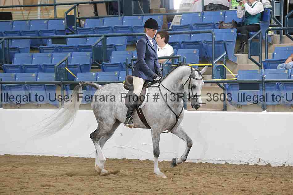 Proof 13r14_3603