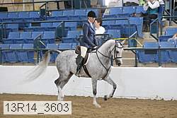 13r14_3603 proof
