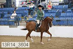 13r14_3604 proof