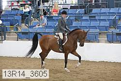 13r14_3605 proof