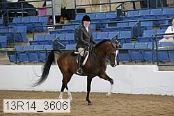 13r14_3606 proof