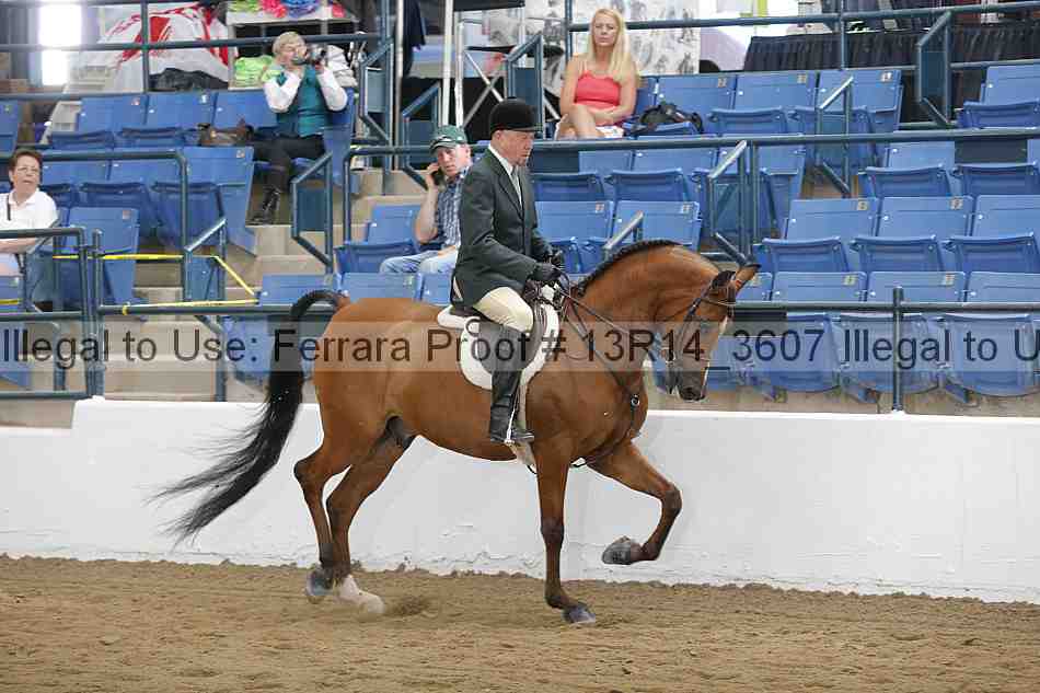 Proof 13r14_3607